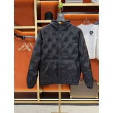 Louis Vuitton Down Jackets